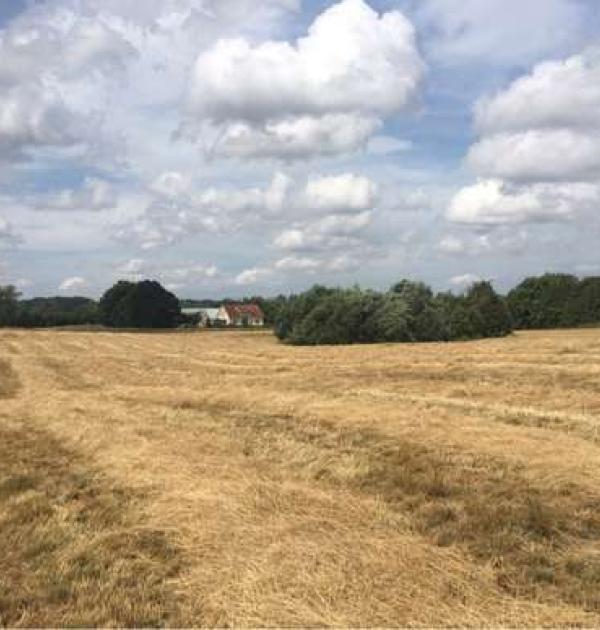 Hoofdfoto Odense West -  Mosegaarden