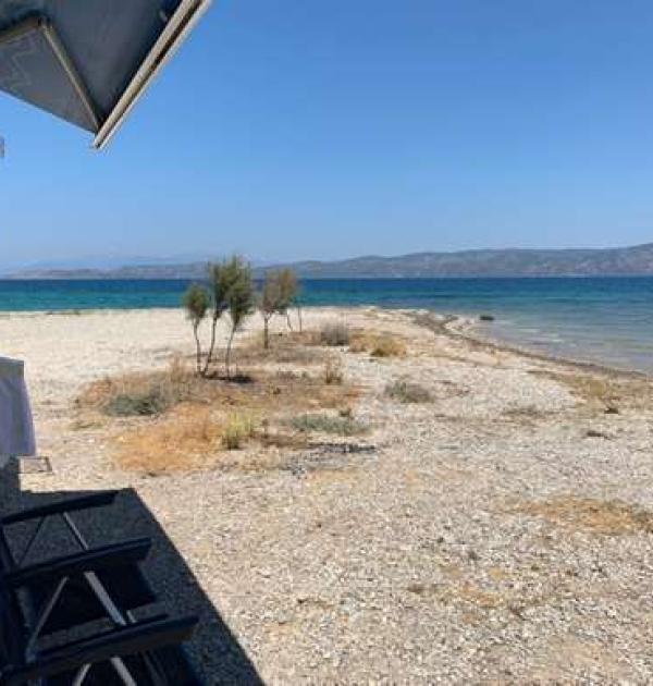 Hoofdfoto Beach
