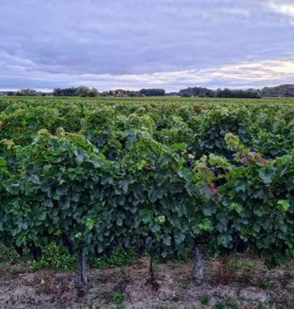 Hoofdfoto Parking Clos Maine Graveraeau