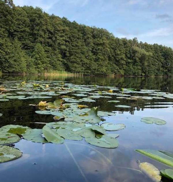 Hoofdfoto Kanufarm am Heegesee