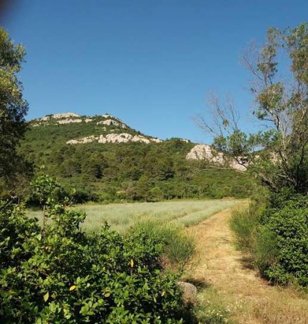 Hoofdfoto Domaine de Sault