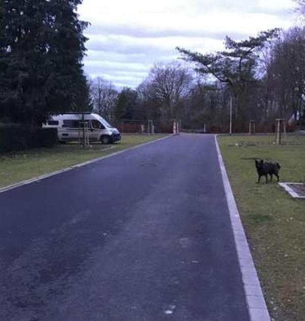 Hoofdfoto Parking Hoch Elten