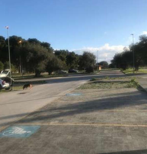 Hoofdfoto Parking Pineta Cimino