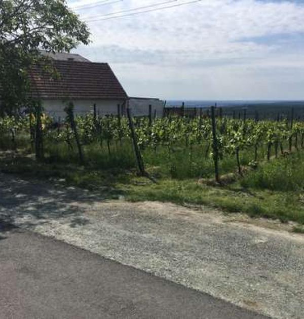Hoofdfoto Parking Buschenschank Eder