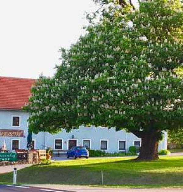 Hoofdfoto Wohnmobilstellplatz Franzosenhof