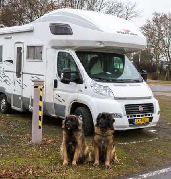 Hoofdfoto Festplatz aan de Wonnegauhalle