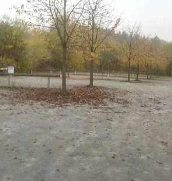 Hoofdfoto Feng Shui Kurpark