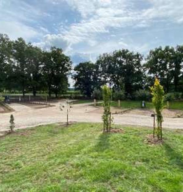 Hoofdfoto Hof Denissen Obstwiese