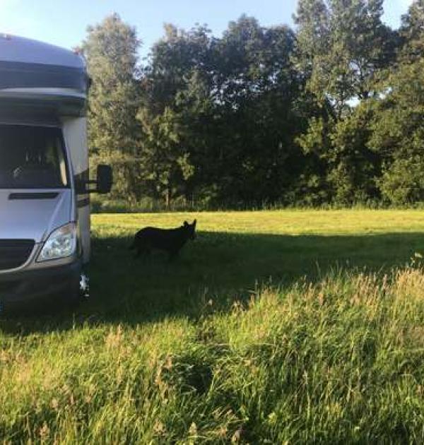 Hoofdfoto Camperplaats Klaverveld