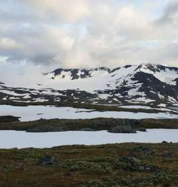 Hoofdfoto Mefjell Rasteplass