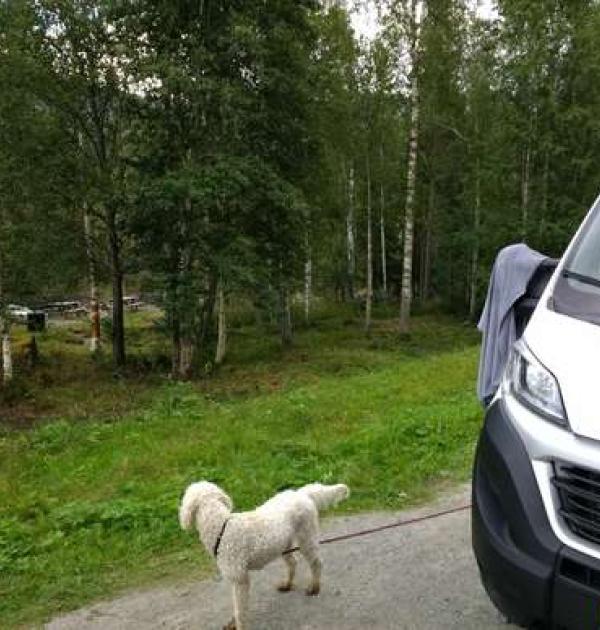 Hoofdfoto Picknickplaats Etnedal