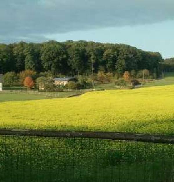 Hoofdfoto Hof Fähringen