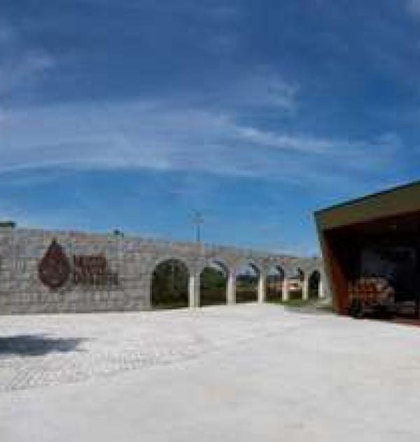 Hoofdfoto Museu do Azeite