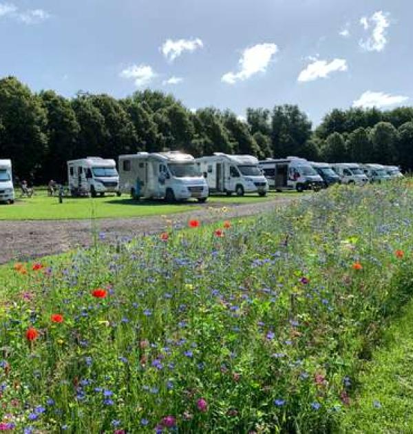 Hoofdfoto Camperplaats Loosterstee