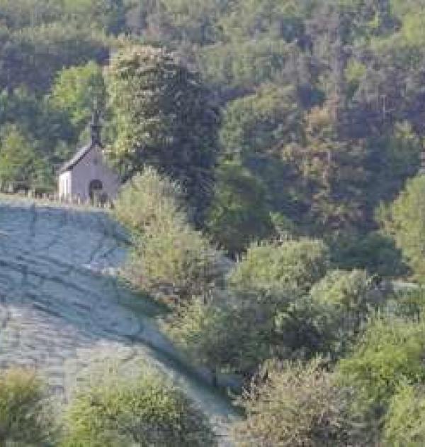 Hoofdfoto Parking Wildlife Hill