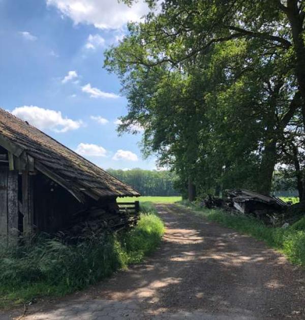 Hoofdfoto Ochtruper Diek