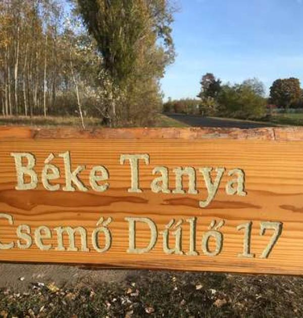 Hoofdfoto Beke Tanya Hongarije