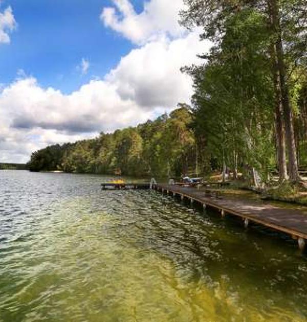 Hoofdfoto Campervan Park Wiatraki