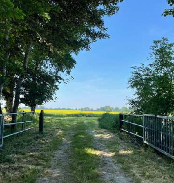 Hoofdfoto Crohnshof Südlage