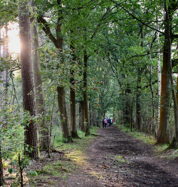 Fijne familiale wandeling in de groene long van Malle