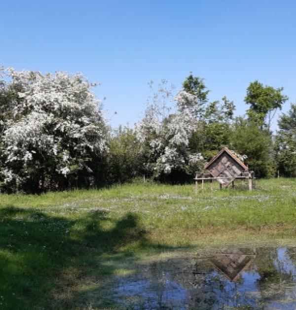 Opwijk